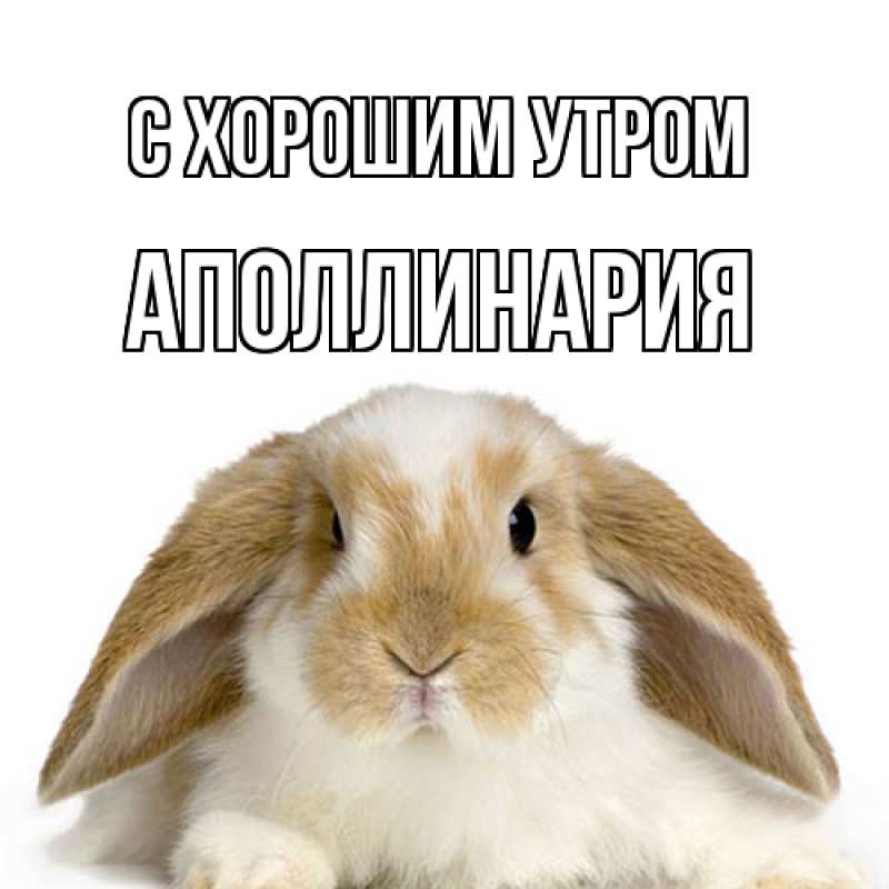 Картинка С хорошим утром, Аполлинария