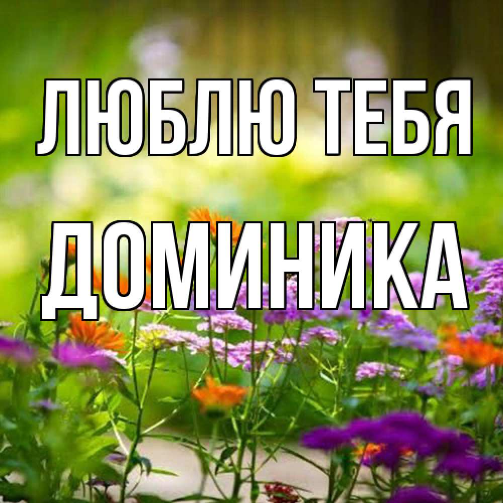 Открытка на каждый день с именем, Доминика Люблю тебя цветы Прикольная открытка с пожеланием онлайн скачать бесплатно 