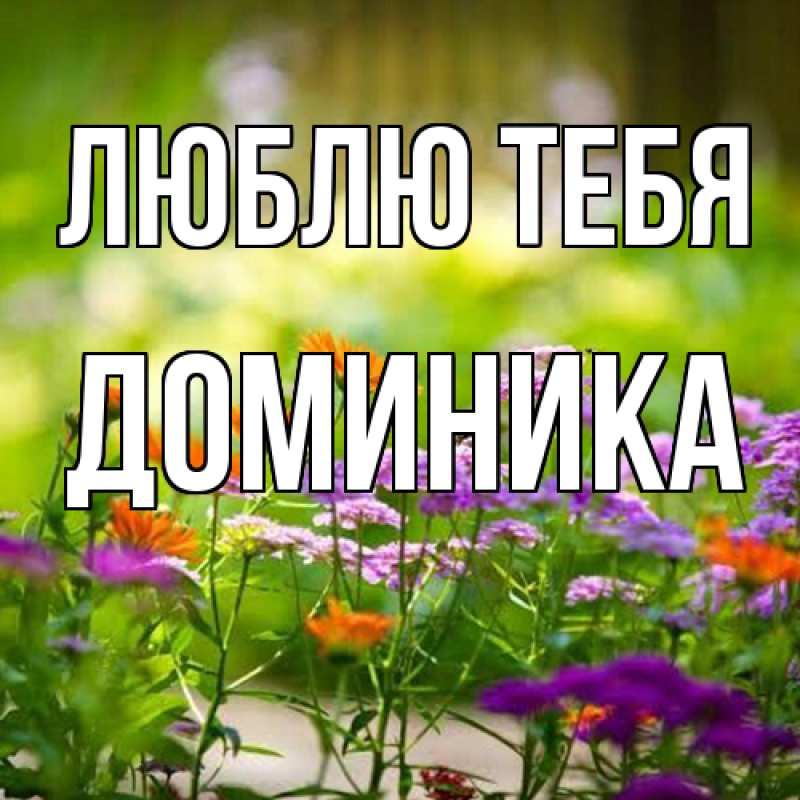 Картинка Люблю тебя, Доминика