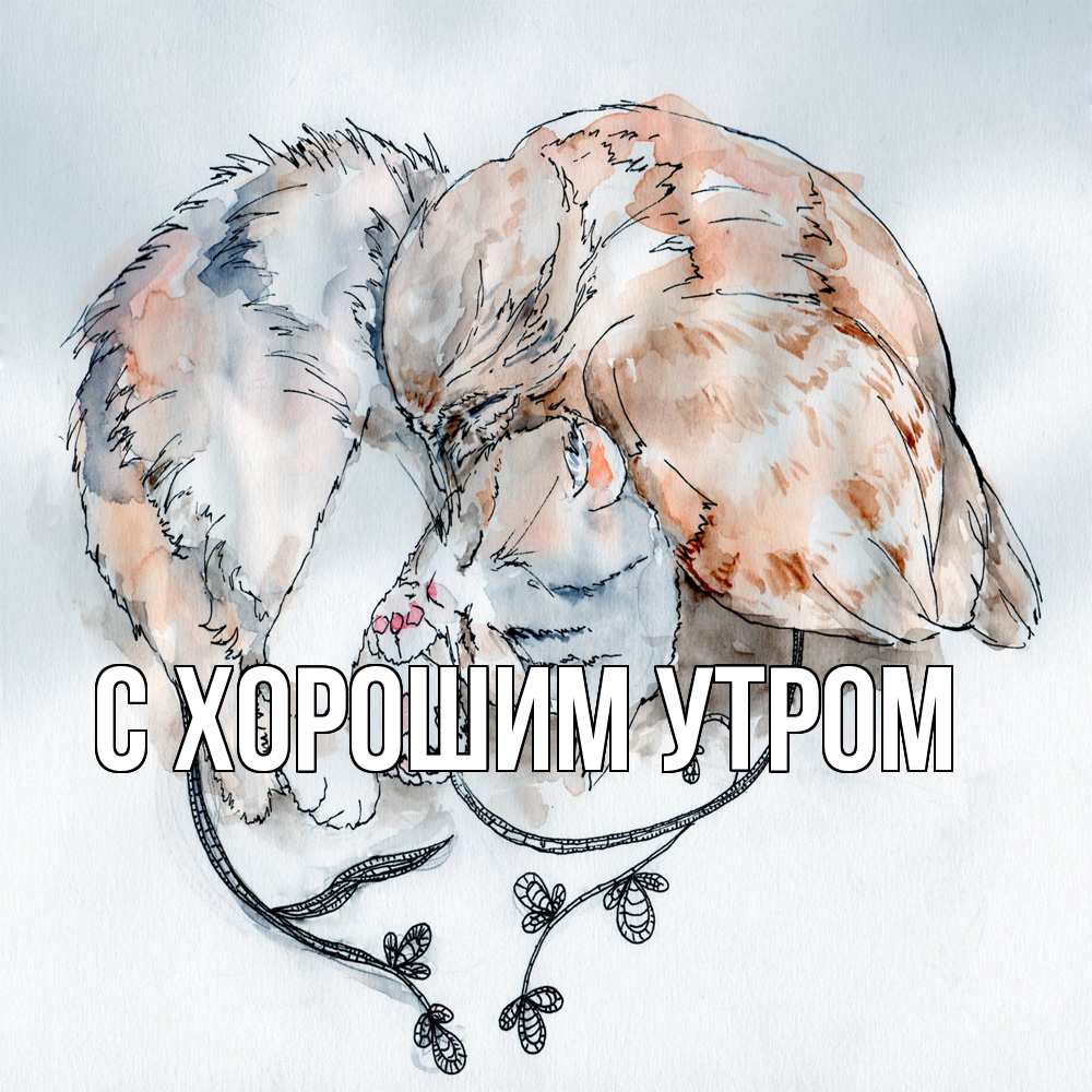 Открытка на каждый день с именем, Адиля Обнимашки можно быть вместе даже когда очень разные Прикольная открытка с пожеланием онлайн скачать бесплатно 