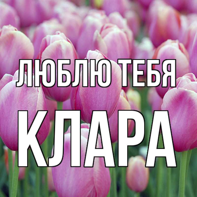 Картинка Люблю тебя, Клара