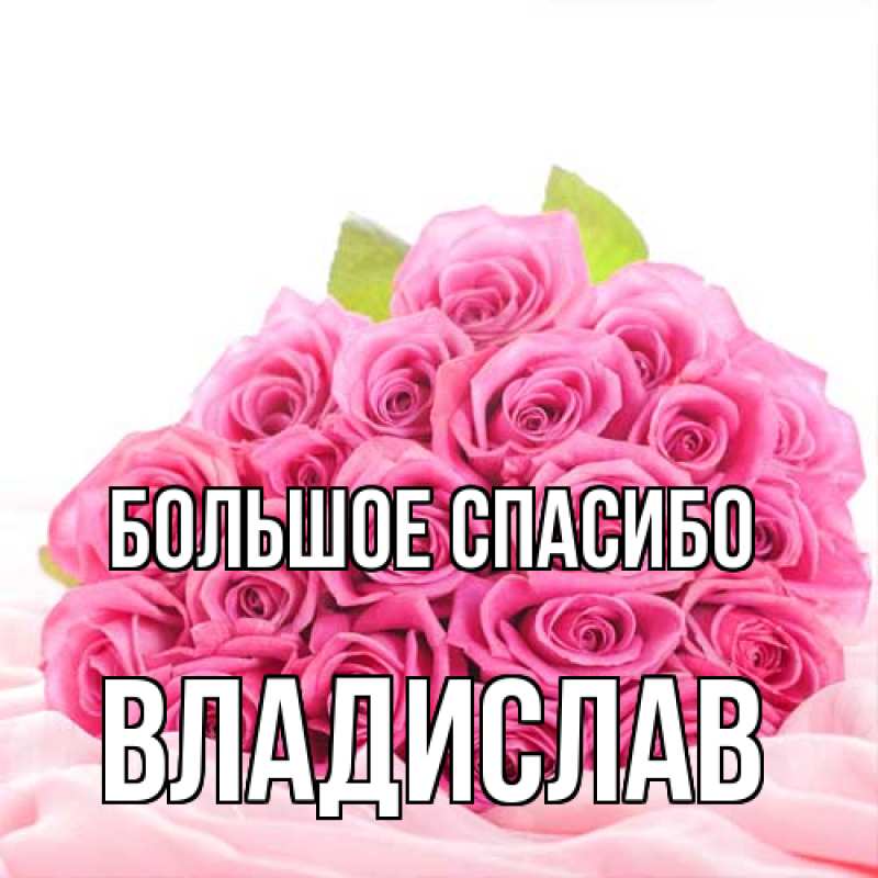 Картинка Большое спасибо, Владислав