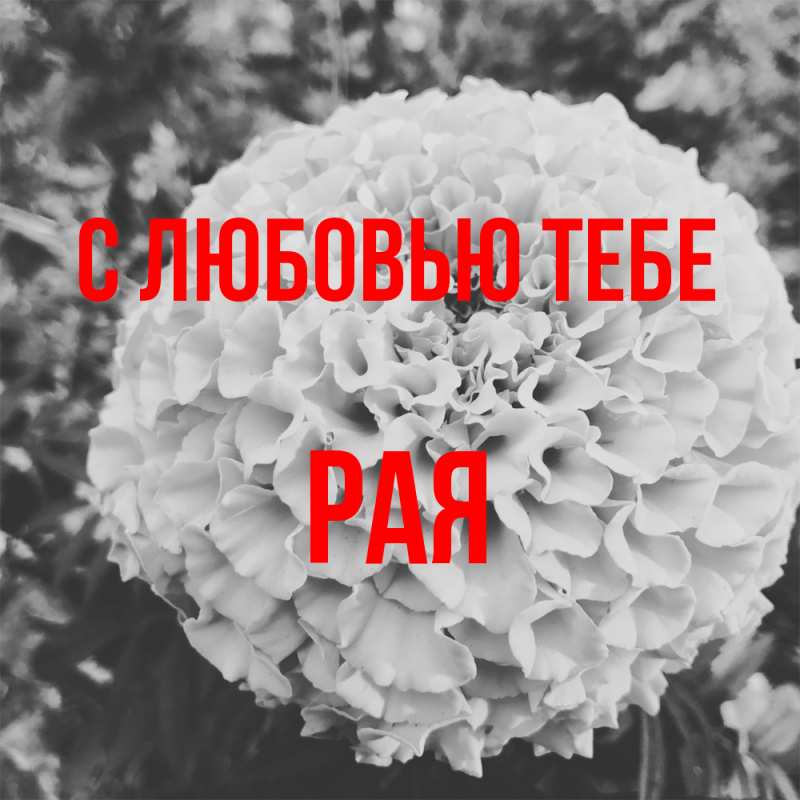 Картинка С любовью тебе, Рая