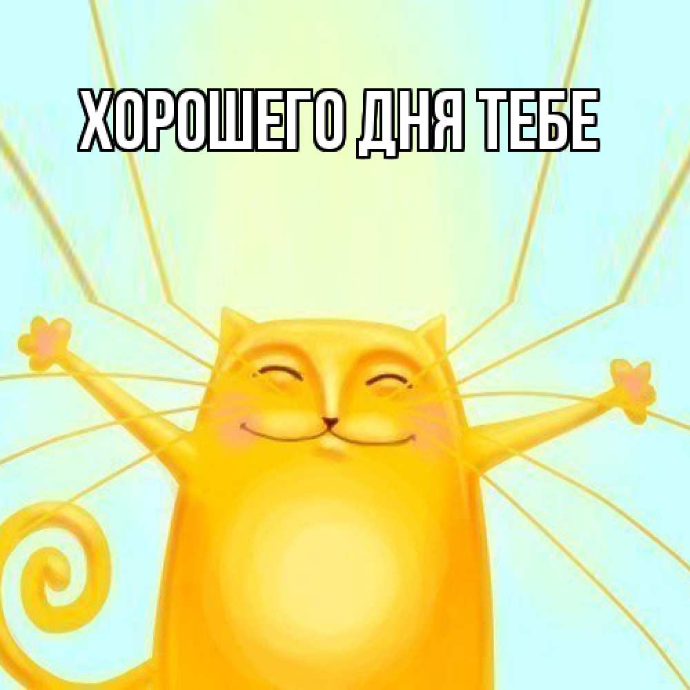 Открытка на каждый день с именем, Зигмунд Обнимашки солнечный обнимашечный кот Прикольная открытка с пожеланием онлайн скачать бесплатно 