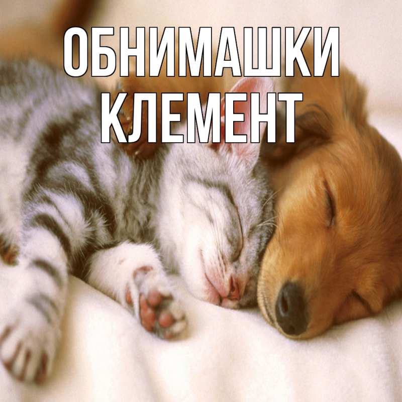 Картинка Обнимашки, Клемент