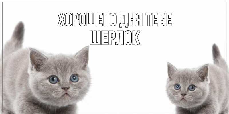 Картинка Хорошего дня тебе, Шерлок