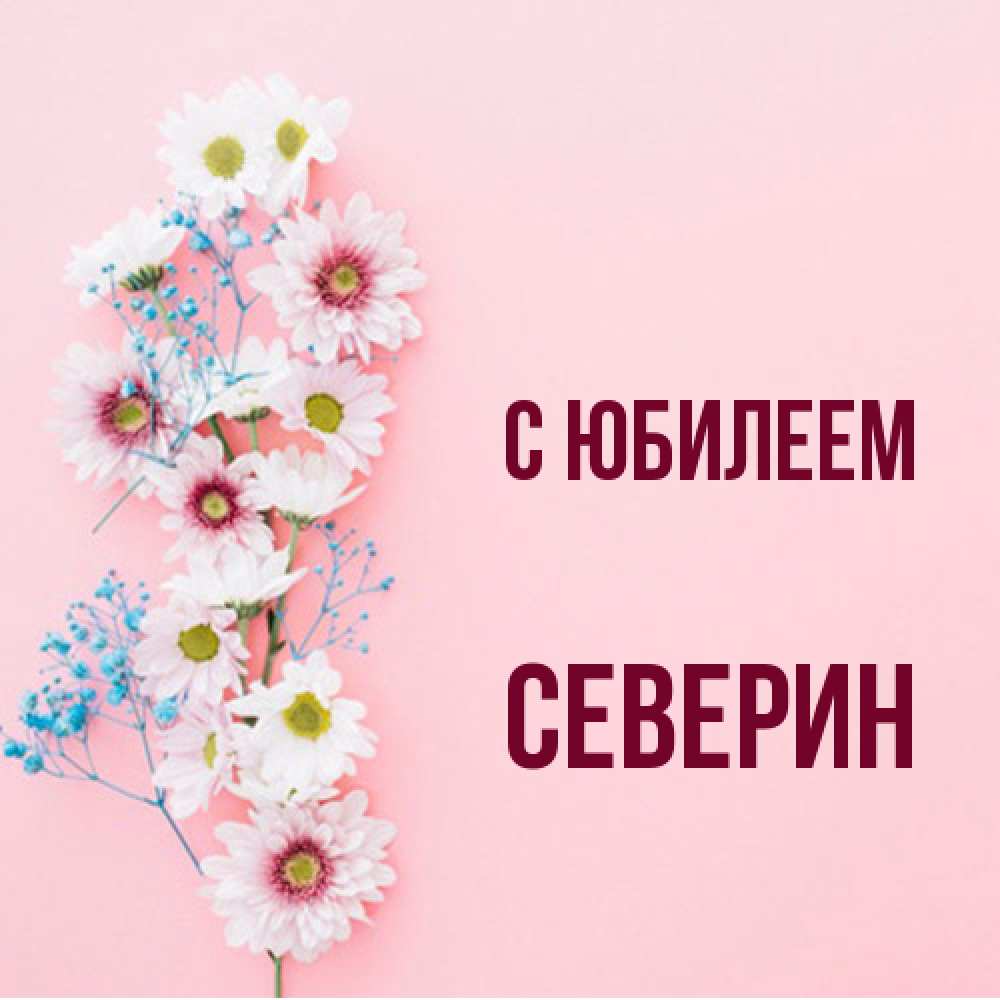 Открытка на каждый день с именем, Северин C юбилеем Родная моя с днем рождения тебя картинка с цветами белыми и голубыми Прикольная открытка с пожеланием онлайн скачать бесплатно 