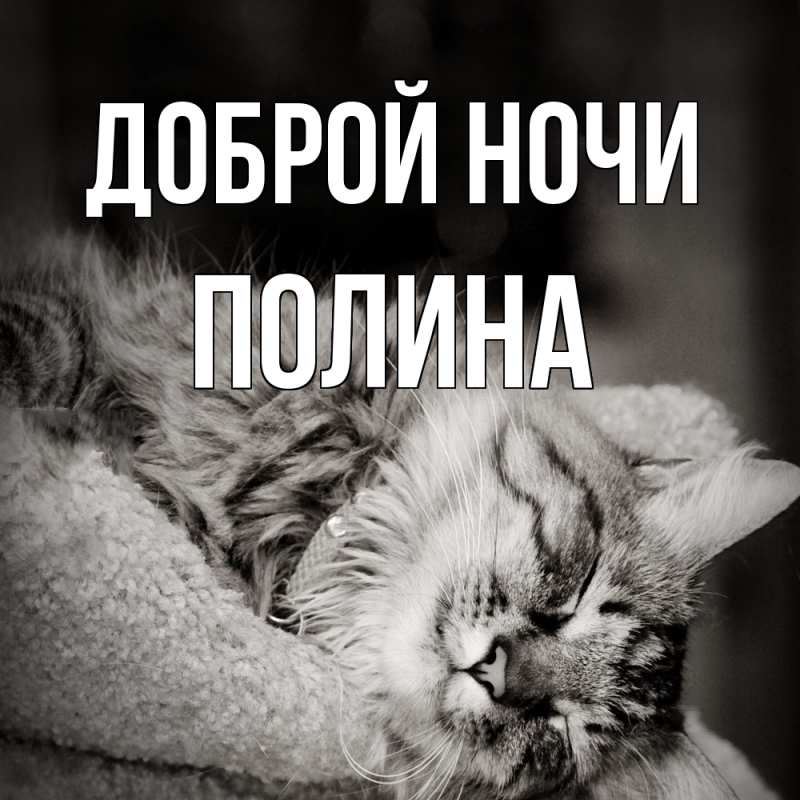 Картинка Доброй ночи, Полина