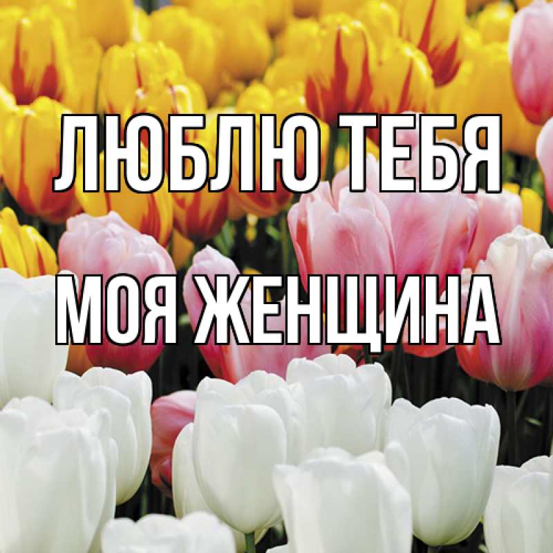 Картинка Люблю тебя, Моя женщина