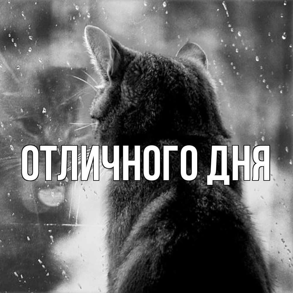 Открытка на каждый день с именем, Аида Скучашки скорее ко мне приходи 1 Прикольная открытка с пожеланием онлайн скачать бесплатно 