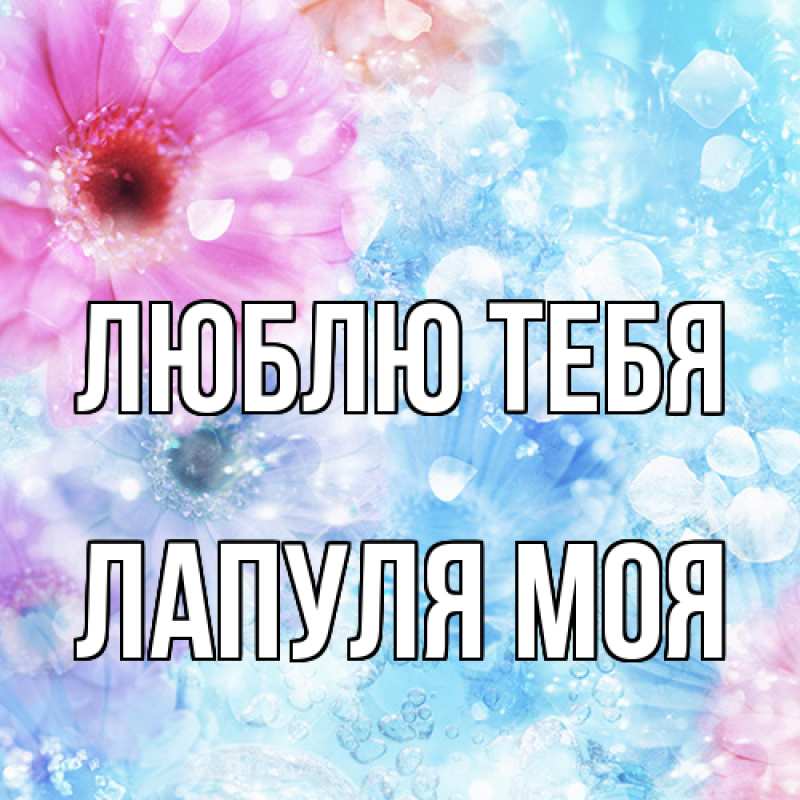 Картинка Люблю тебя, Лапуля моя