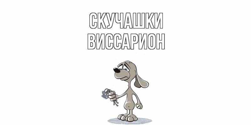 Картинка Скучашки, Виссарион