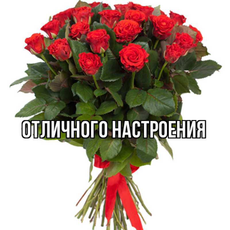 Картинка Люблю тебя, Габриэлла