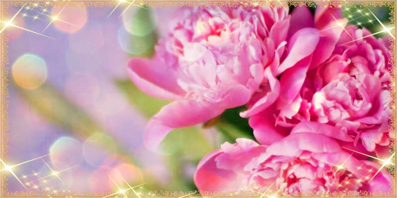 Картинка Люблю тебя, 