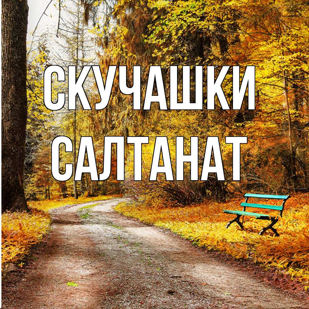 Открытка на каждый день с именем, Салтанат Скучашки зеленая лавочка и осенний лес Прикольная открытка с пожеланием онлайн скачать бесплатно 