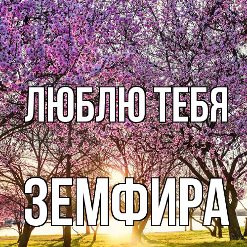 Картинка Люблю тебя, Земфира