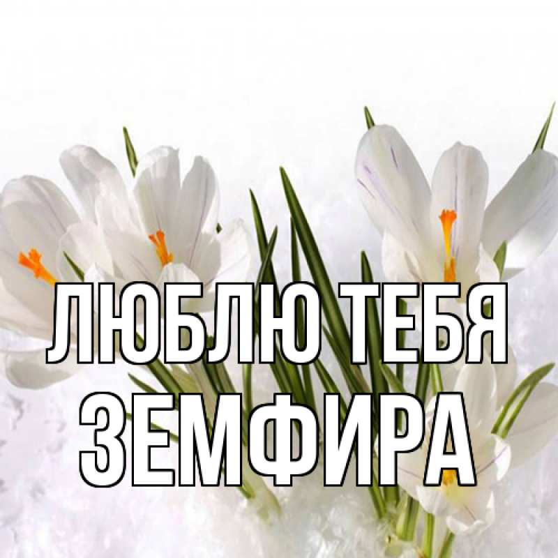 Картинка Люблю тебя, Земфира