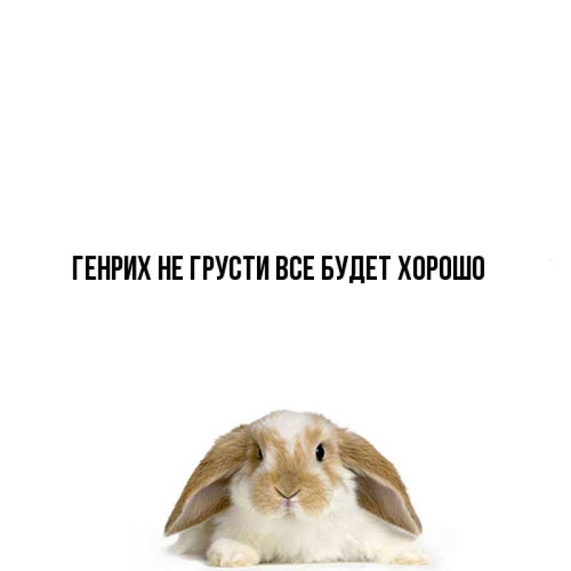 Картинка Не грусти, все будет хорошо, Генрих