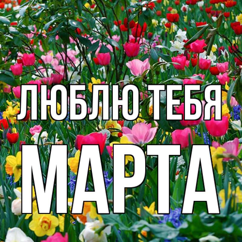 Картинка Люблю тебя, Марта