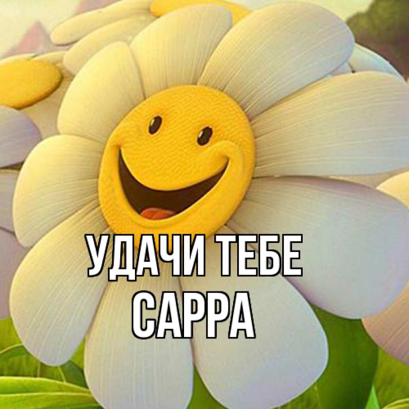 Картинка Удачи тебе, Сарра