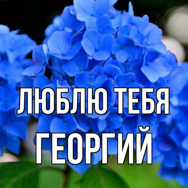 Картинка Люблю тебя, Георгий