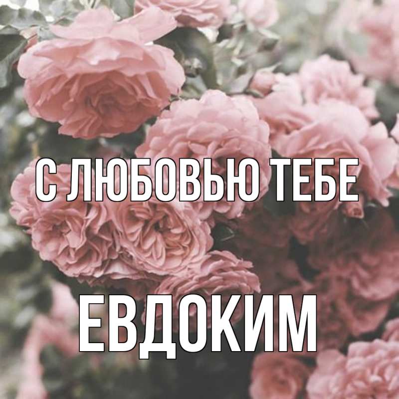 Картинка С любовью тебе, Евдоким