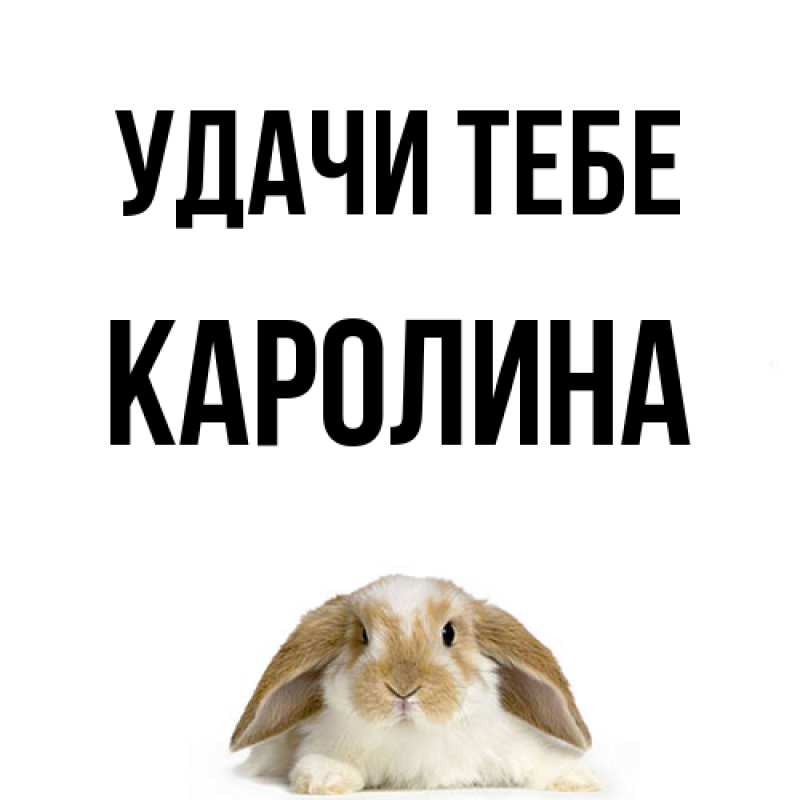Картинка Удачи тебе, Каролина