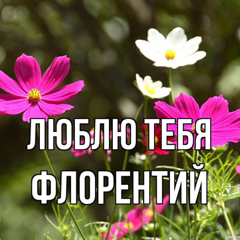 Открытка с именем, Флорентий, Люблю тебя