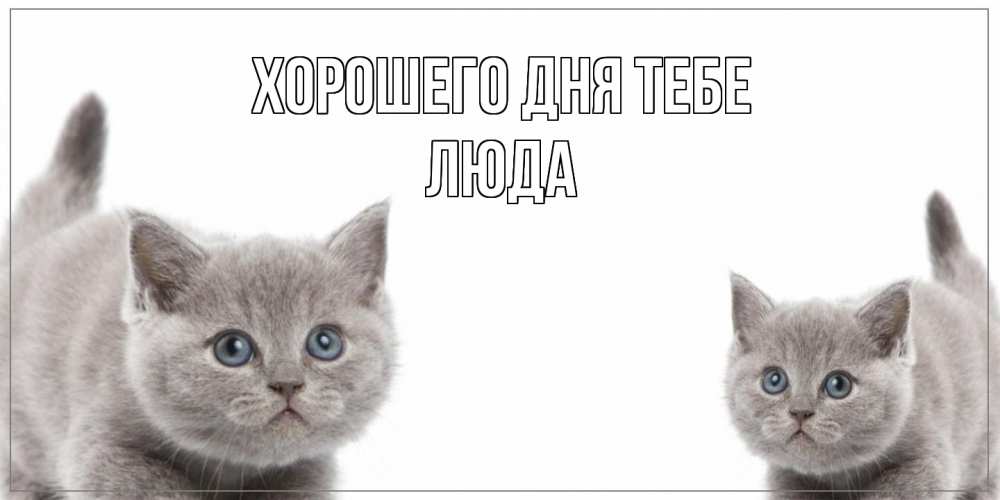 Открытка на каждый день с именем, Люда Хорошего дня тебе открытка с котами Прикольная открытка с пожеланием онлайн скачать бесплатно 