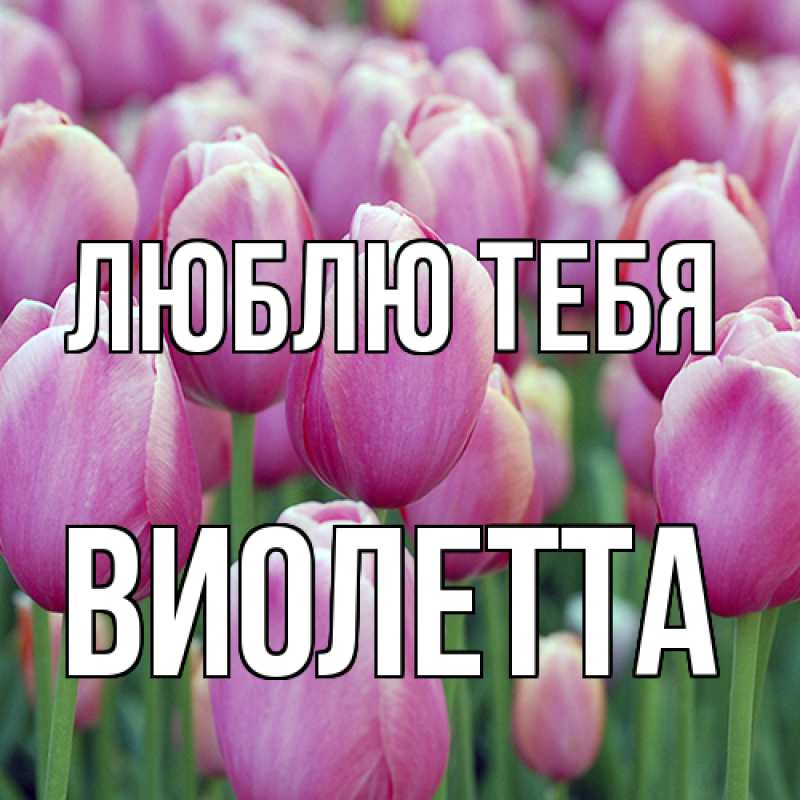 Картинка Люблю тебя, Виолетта