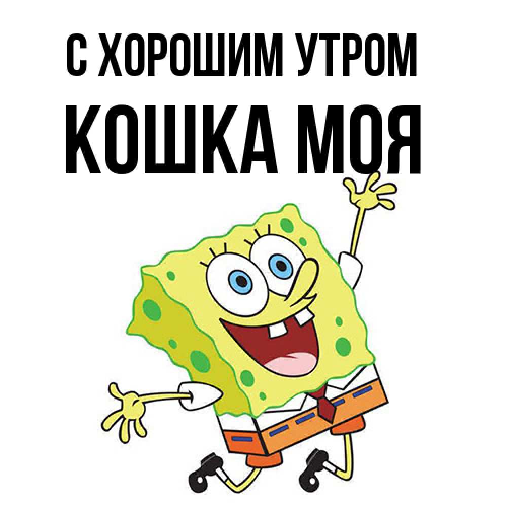 Открытка на каждый день с именем, Кошка-моя С хорошим утром улыбающийся спанч Боб Прикольная открытка с пожеланием онлайн скачать бесплатно 