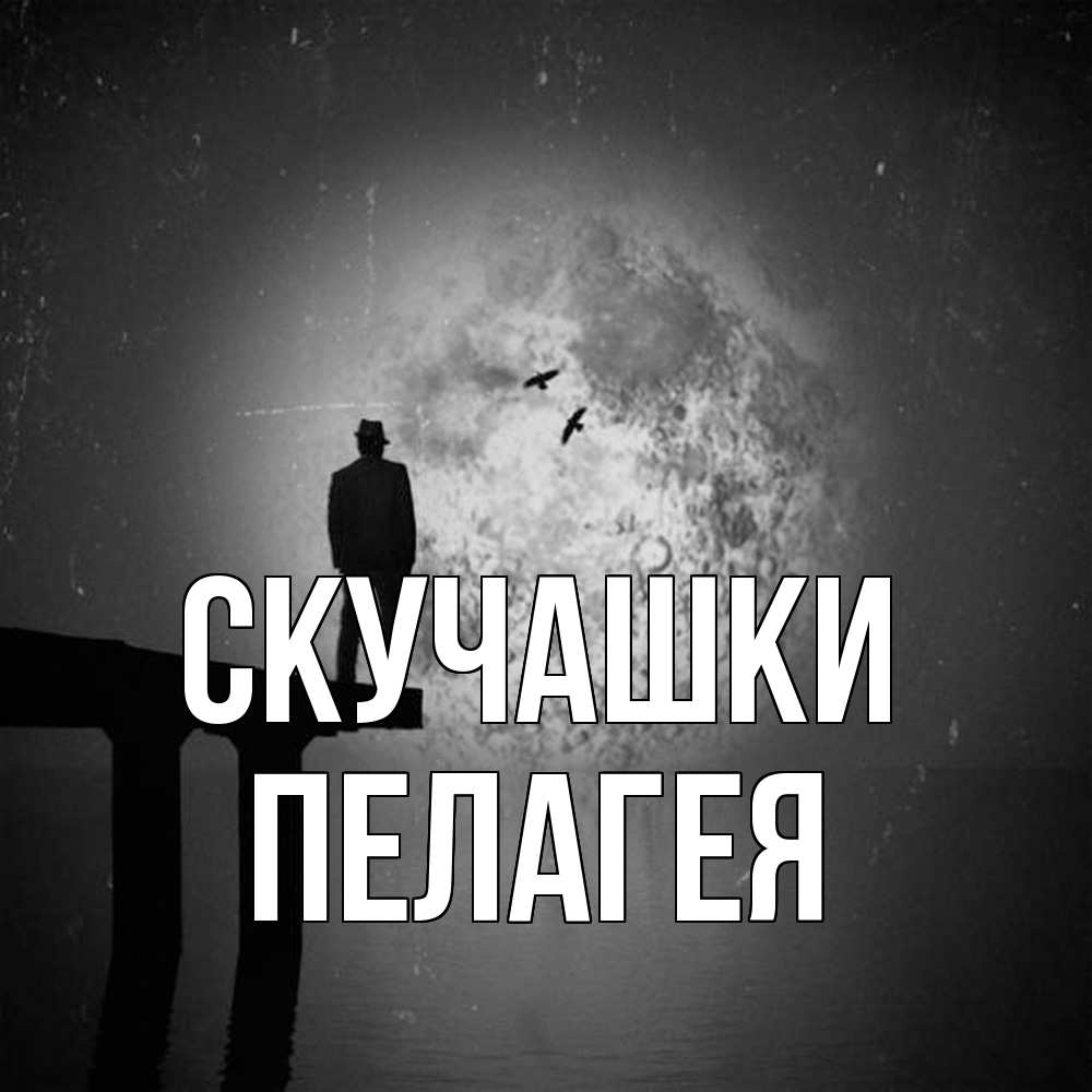 Открытка на каждый день с именем, Пелагея Скучашки мост 1 Прикольная открытка с пожеланием онлайн скачать бесплатно 