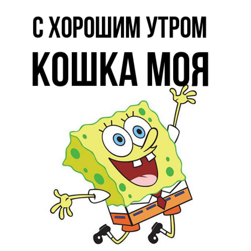 Картинка С хорошим утром, Кошка моя