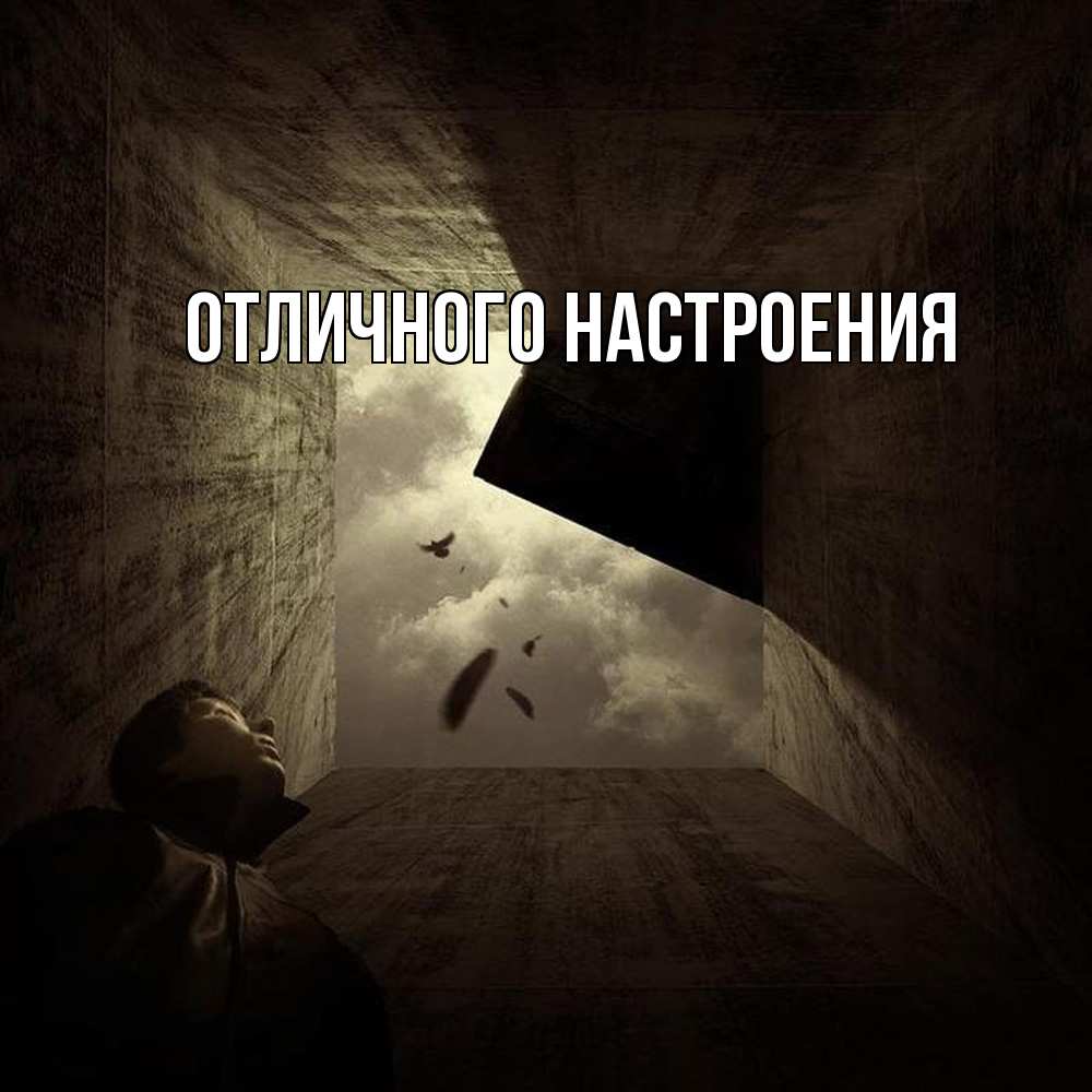 Открытка на каждый день с именем, Песподобная Скучашки тут Прикольная открытка с пожеланием онлайн скачать бесплатно 