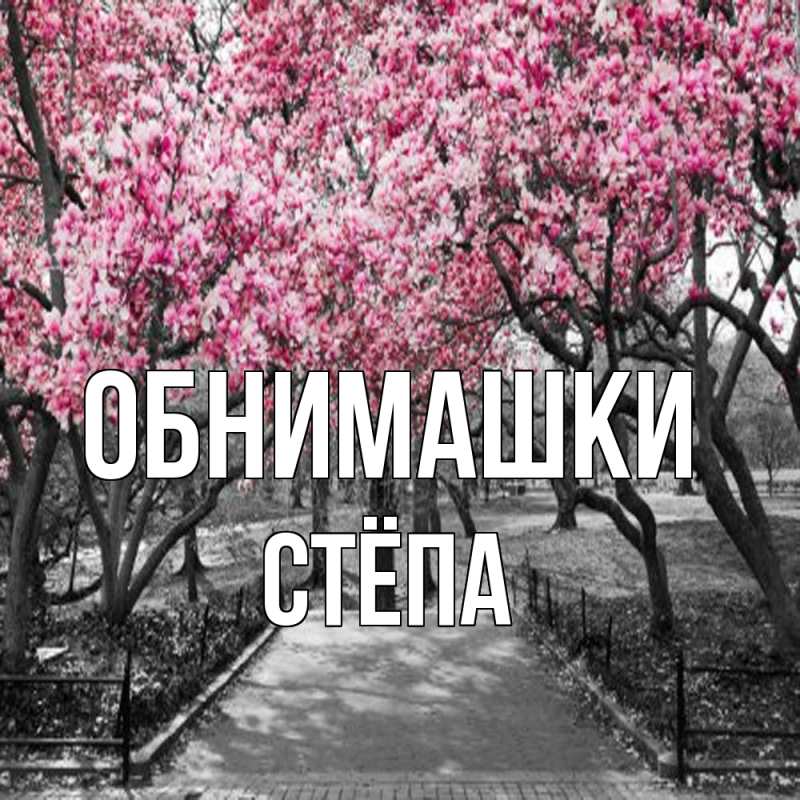 Картинка Обнимашки, Стёпа