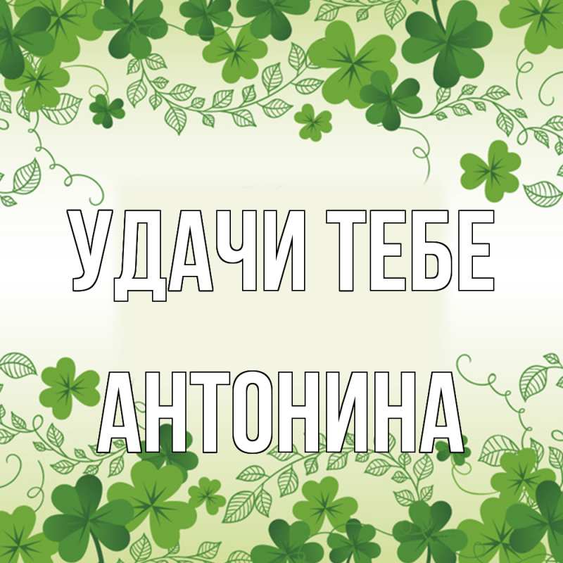 Картинка Удачи тебе, Антонина