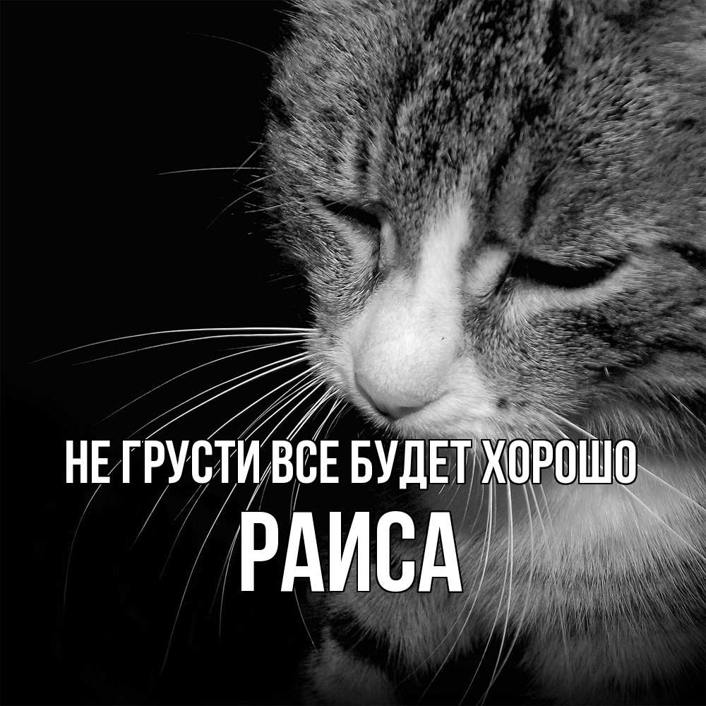 Открытка на каждый день с именем, Раиса Не грусти все будет хорошо грустный котик Прикольная открытка с пожеланием онлайн скачать бесплатно 