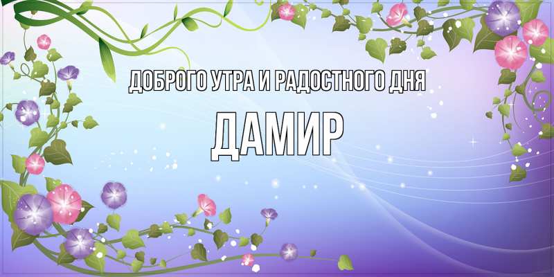 Открытка с именем, Дамир, Доброго утра и радостного дня