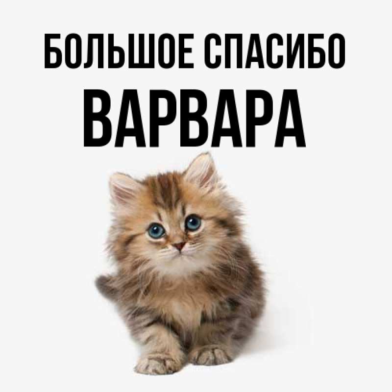 Картинка Большое спасибо, Варвара