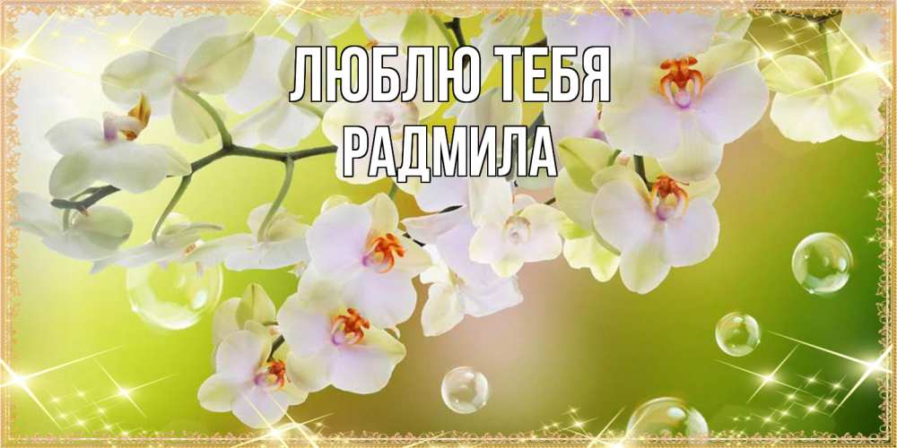 Открытка на каждый день с именем, Радмила Люблю тебя открытка с цветами на международный женский день Прикольная открытка с пожеланием онлайн скачать бесплатно 