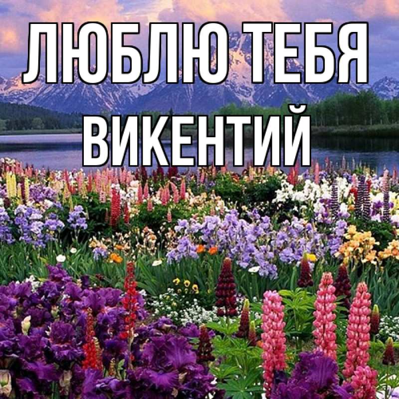 Открытка с именем, Викентий, Люблю тебя