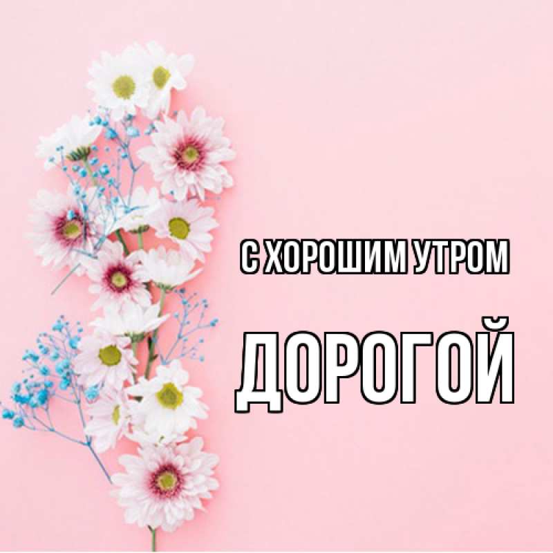 Картинка С хорошим утром, Дорогой