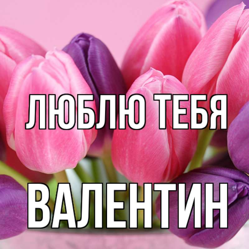 Картинка Люблю тебя, Валентин