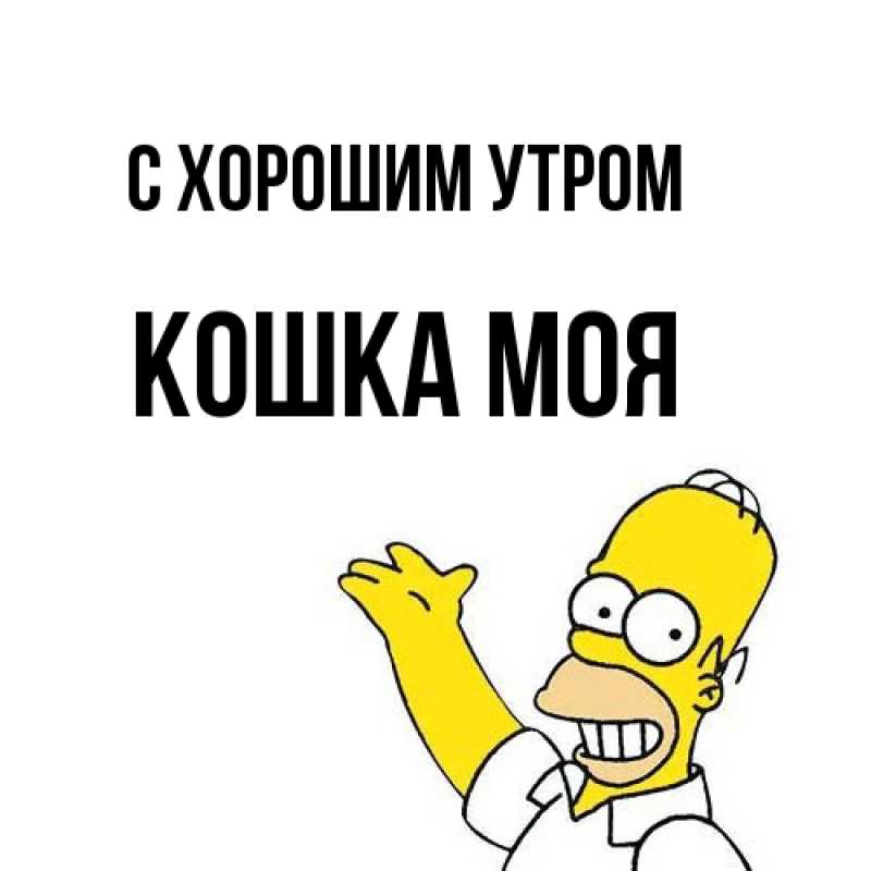 Картинка С хорошим утром, Кошка моя