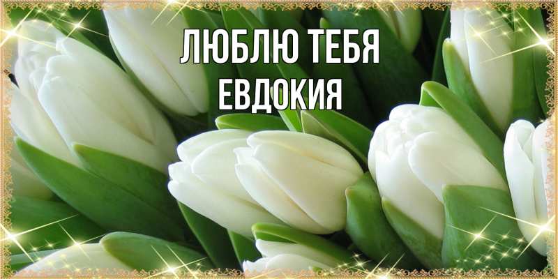 Картинка Люблю тебя, Евдокия