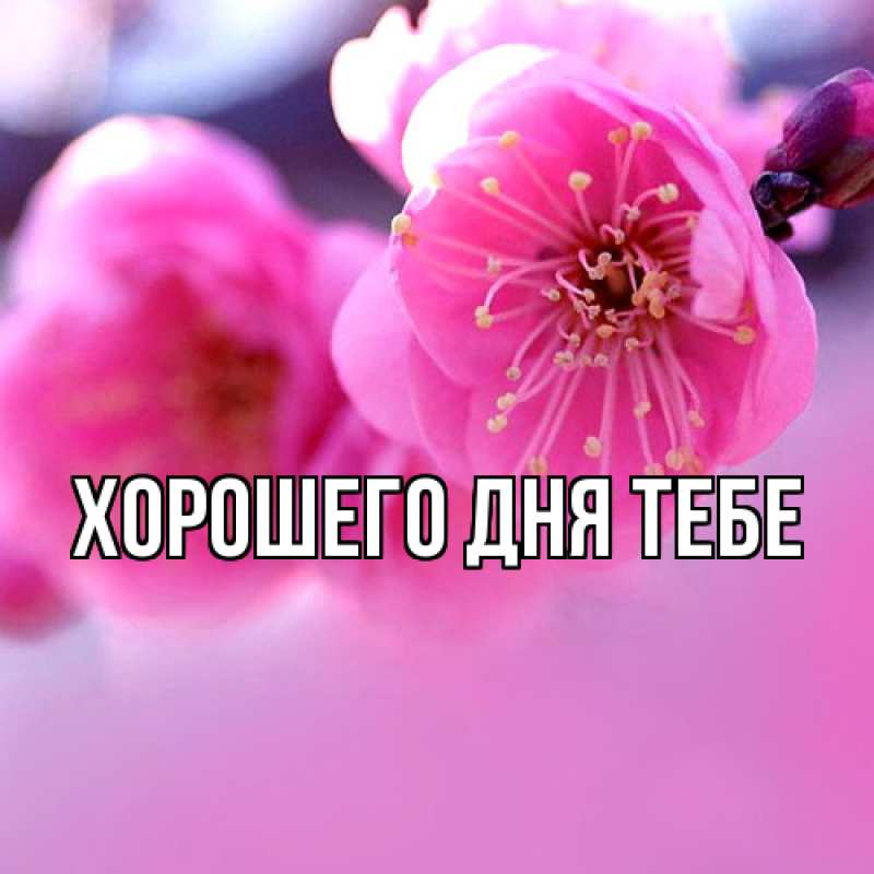 Открытка с именем, Нифонт, Люблю тебя