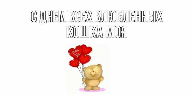 Картинка С днем всех влюбленных, Кошка моя