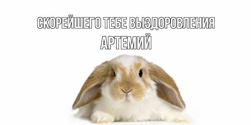 Картинка Скорейшего тебе выздоровления, Артемий