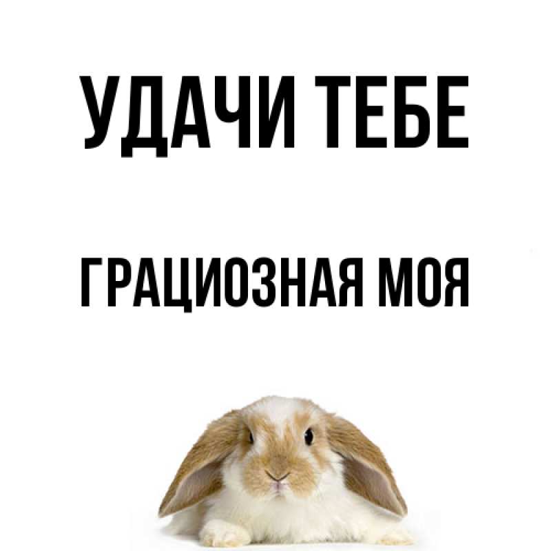 Картинка Удачи тебе, Грациозная моя