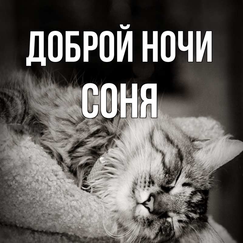 Картинка Доброй ночи, Соня